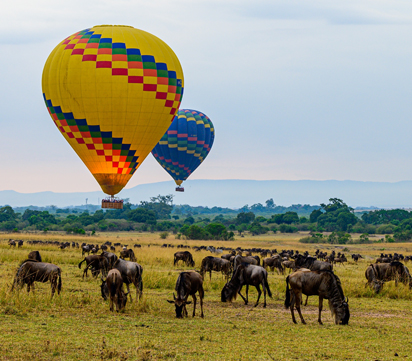 Big Five | Endless Memories | Kenya Safari Magic