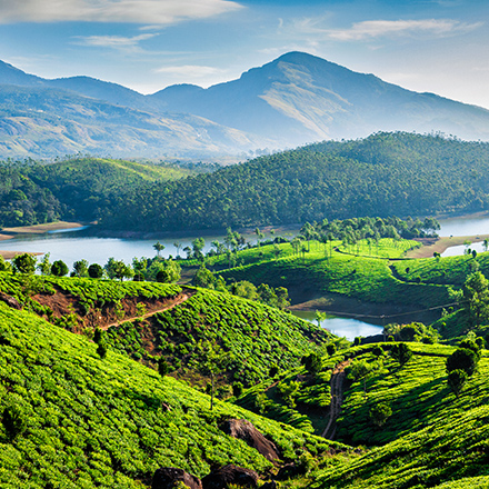 /images/destination/day11-sanctuary_thekkady-xs11_1.jpg