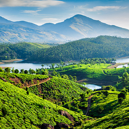 /images/destination/day_3_munnar-sm_1.jpg