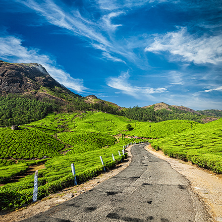 /images/destination/kerala-experience-day4_1.jpg