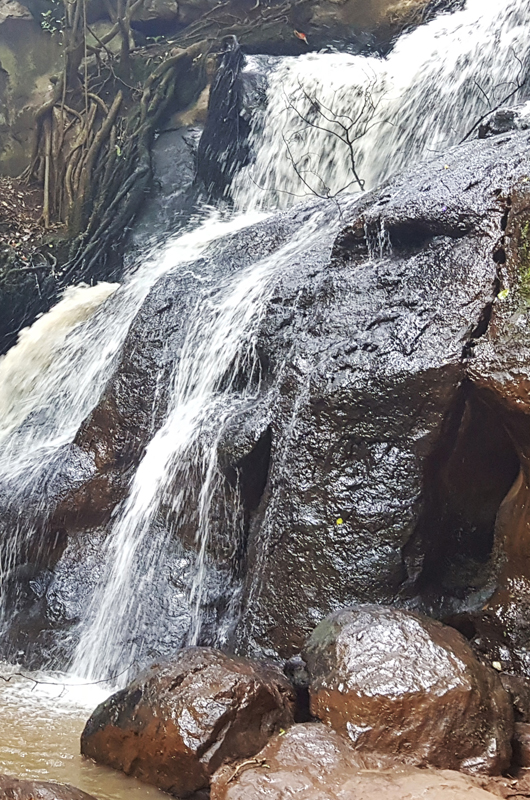 KARURA FOREST
