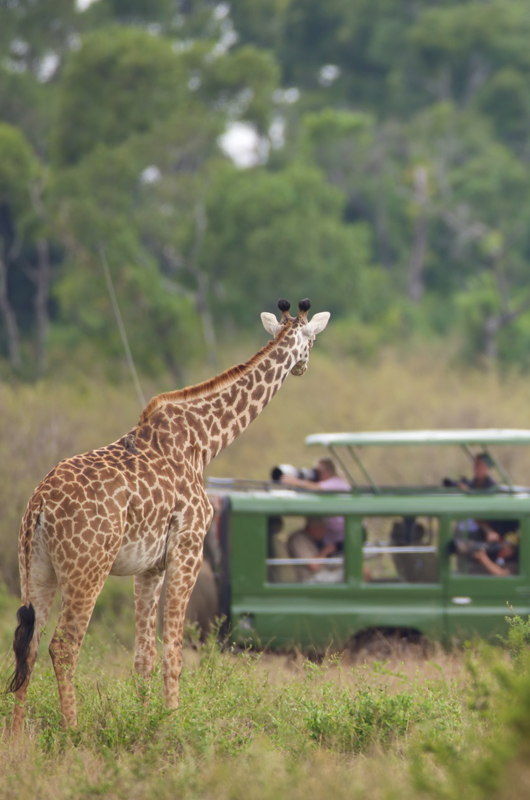 ARUSHA 
