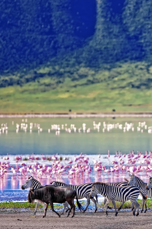 NGORONGORO CRATER